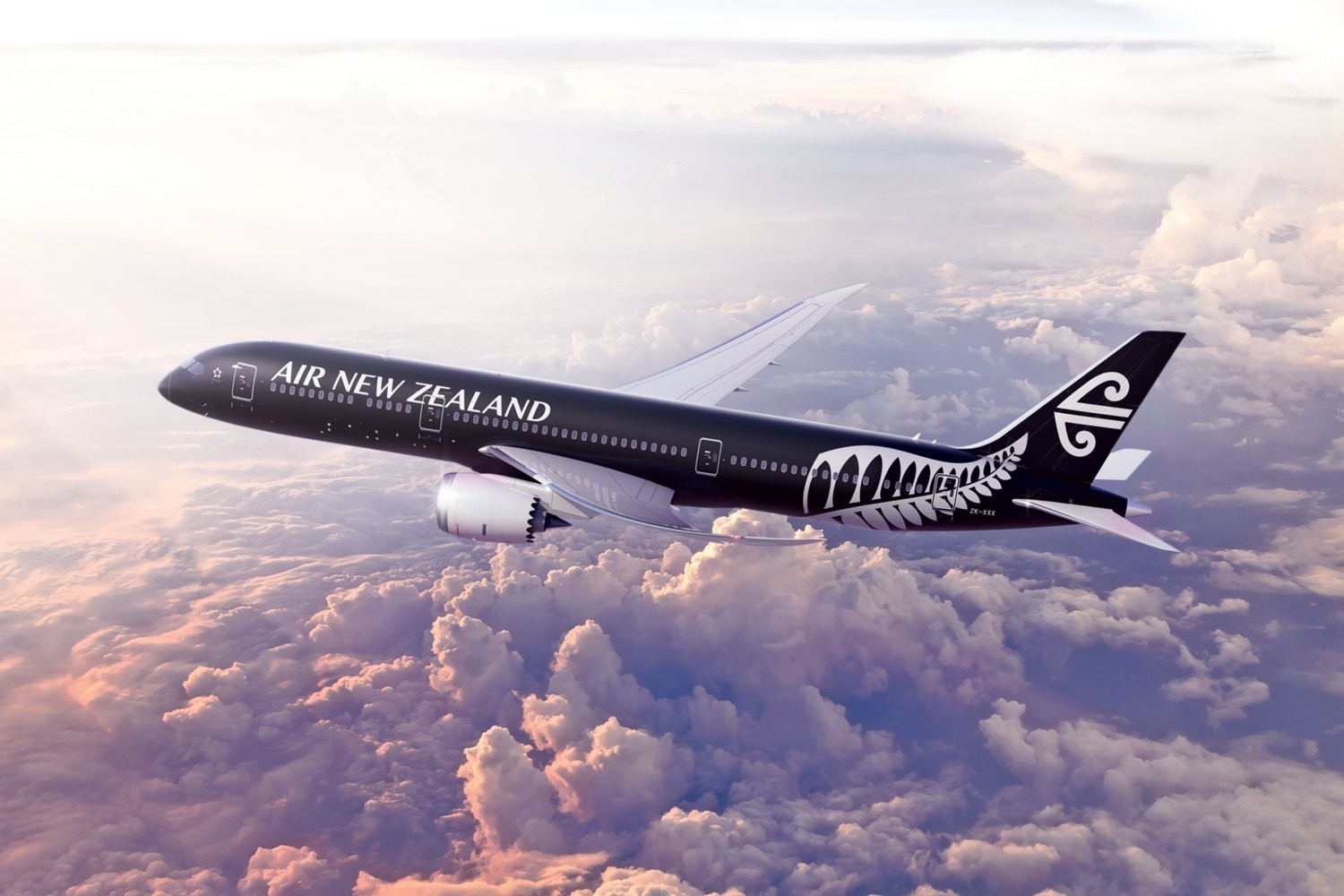 Air NZ Plane