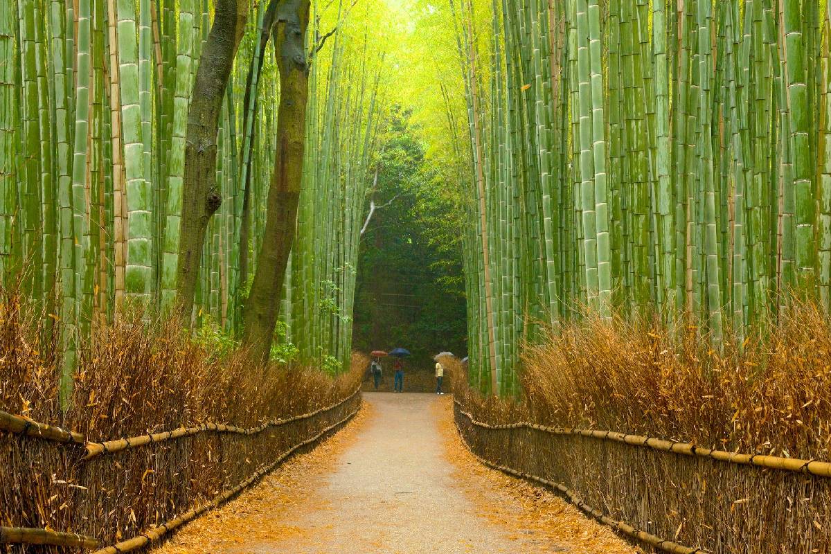 Arashiyama