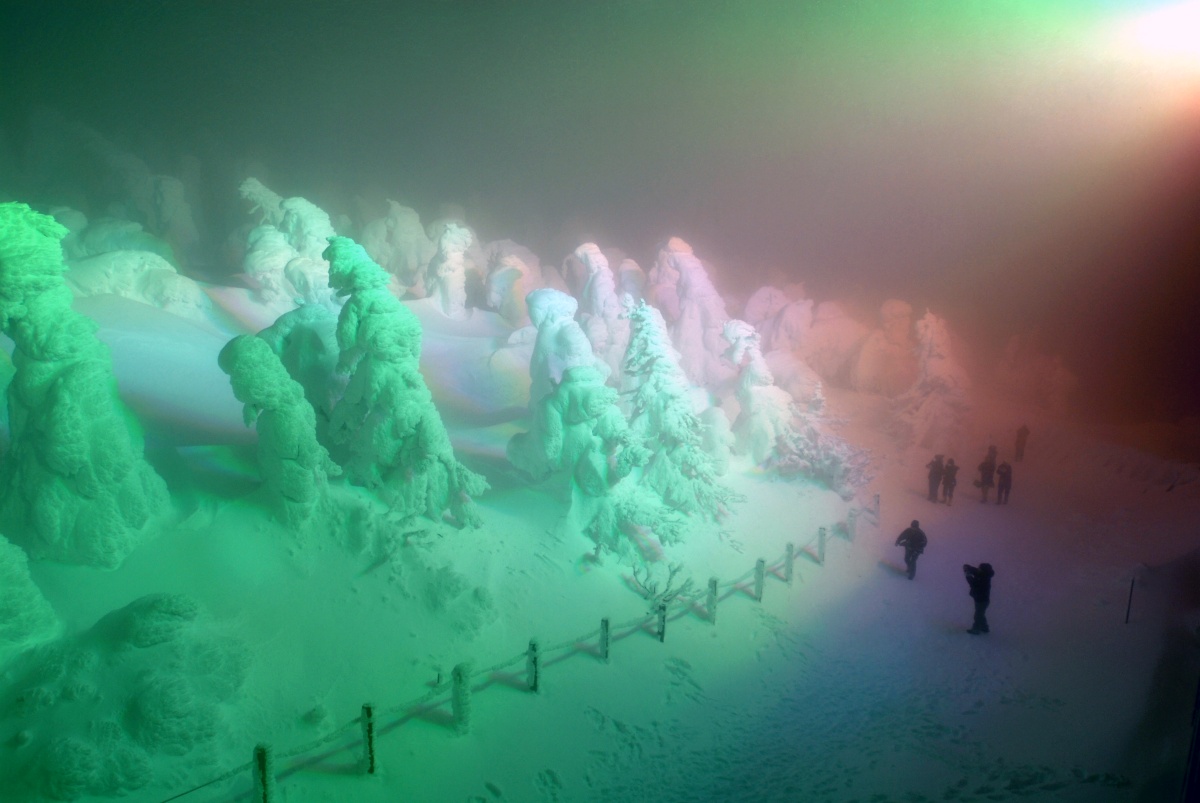 Zao Snow monsters lit up at night