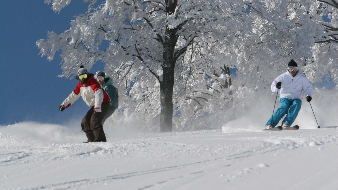 Nozawa Onsen Hot Deal