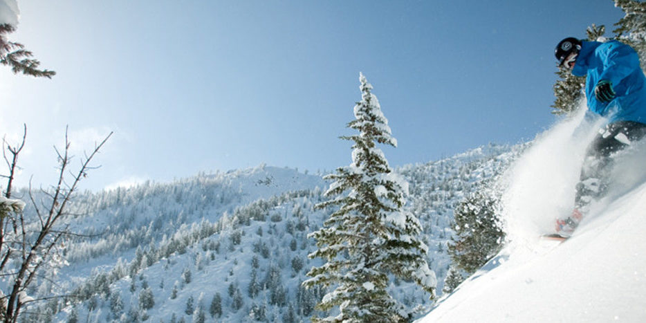 Panorama new runs and restaurants