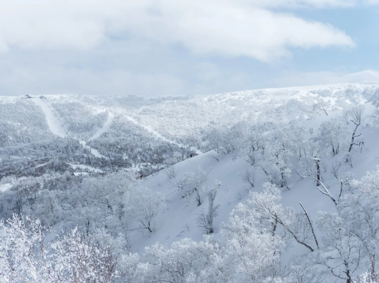 Kiroro Luxury Ski Deal