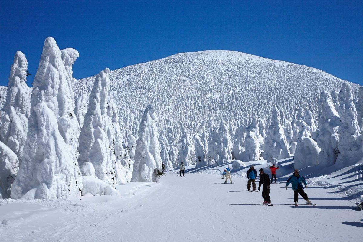 Frost-covered snow monster trees under a blue sky at Zao Onsen, Japan