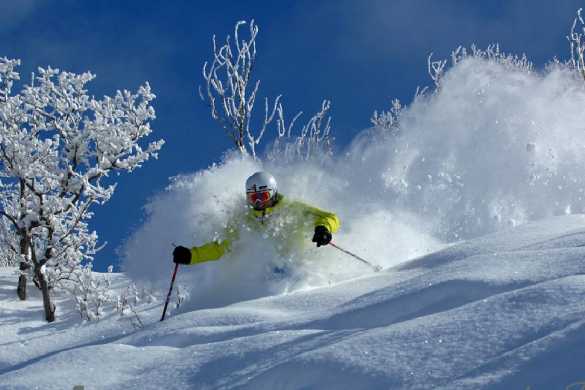Steamboat bluebird day