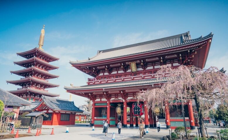 asakusa-sakura-03