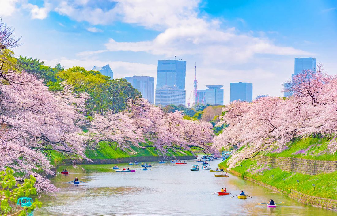 Discover where to stay in Tokyo with this complete guide to the city's top neighbourhoods. Find the best areas for every travel style, from nightlife and luxury to culture and local charm.