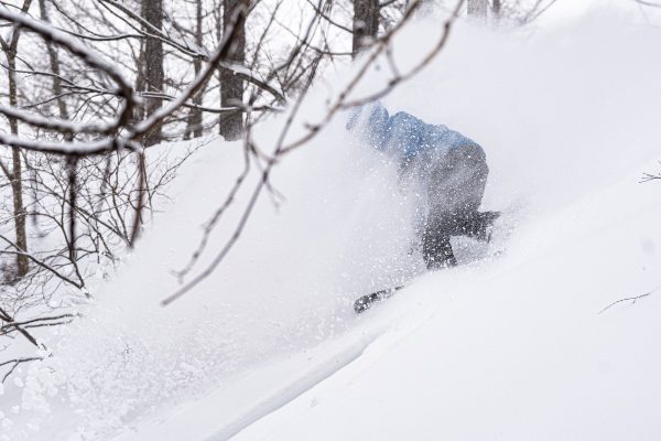 Snowboarder carving through deep powder in the trees at Madarao, Japan