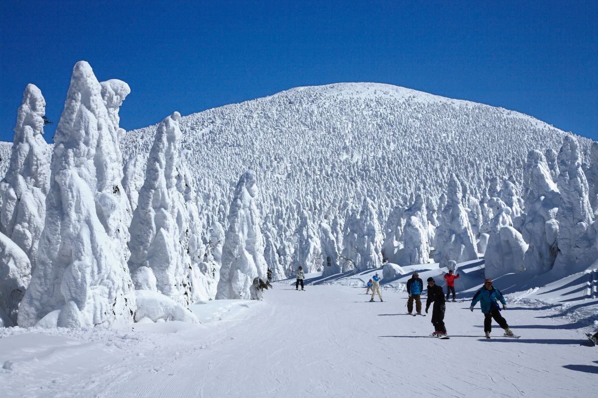 Zao Onsen snow monsters