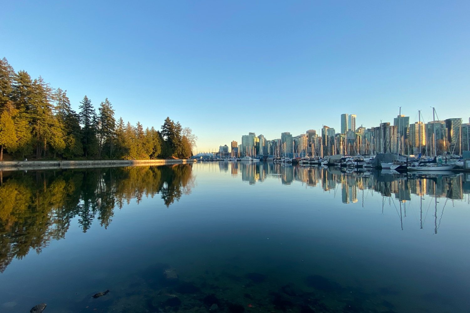 Stanley Park Sea Wall